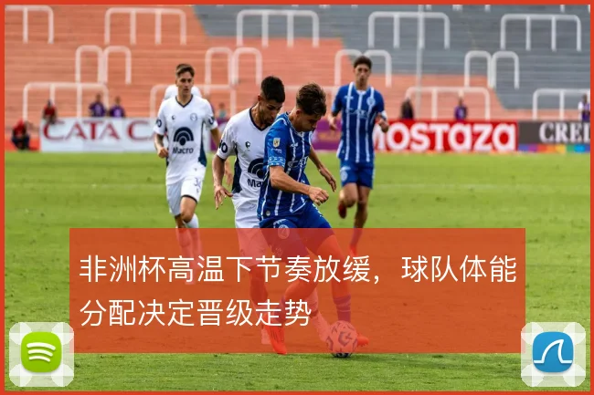 非洲杯高温下节奏放缓，球队体能分配决定晋级走势